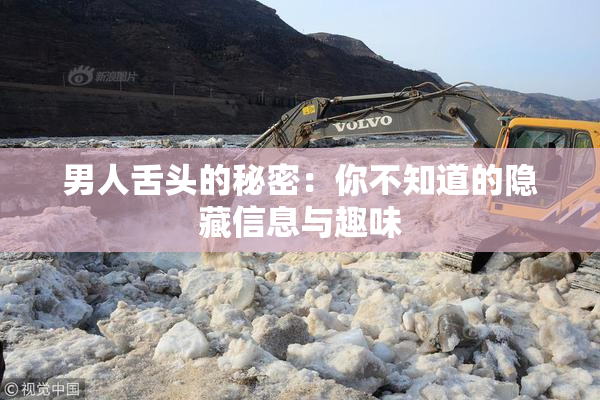 男人舌头的秘密：你不知道的隐藏信息与趣味