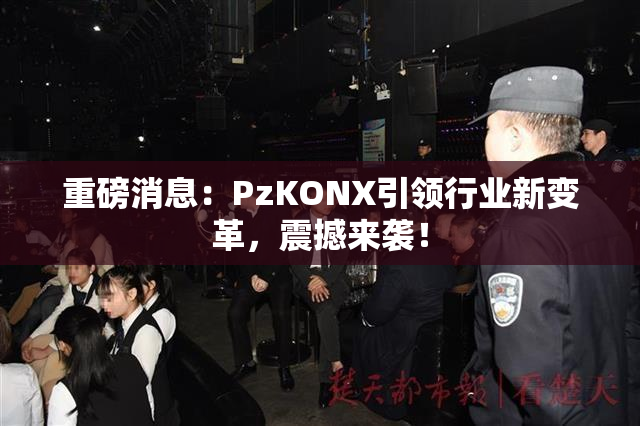 重磅消息：PzKONX引领行业新变革，震撼来袭！