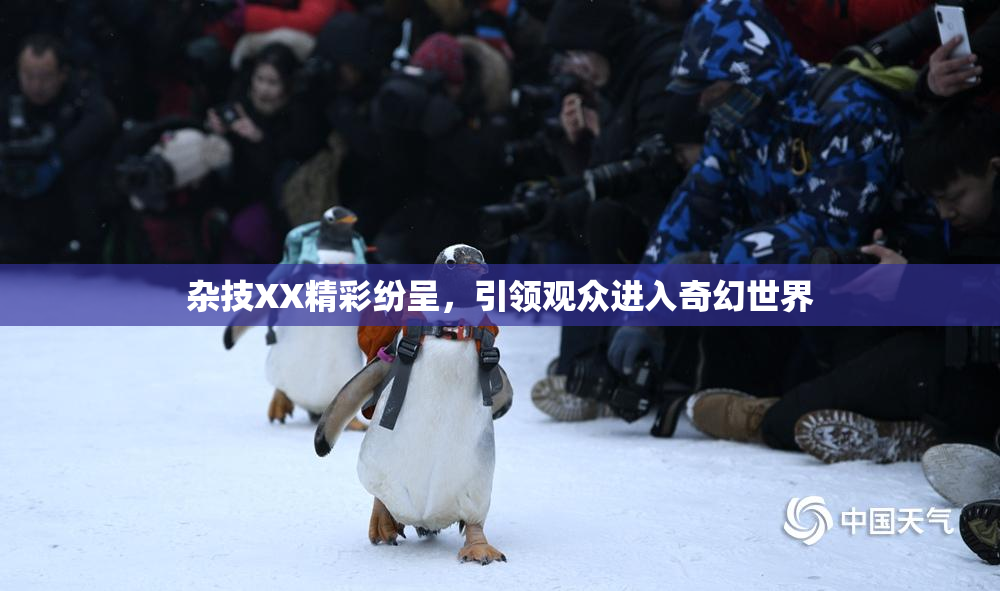 杂技XX精彩纷呈，引领观众进入奇幻世界