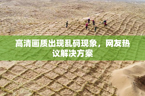 高清画质出现乱码现象，网友热议解决方案