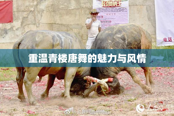 重温青楼唐舞的魅力与风情
