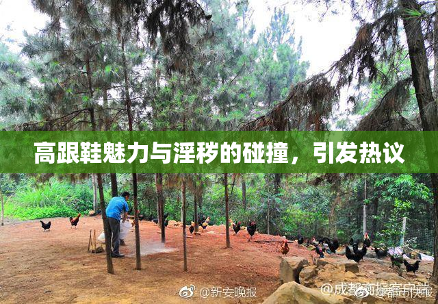 高跟鞋魅力与淫秽的碰撞，引发热议