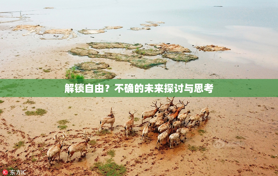 解锁自由？不确的未来探讨与思考