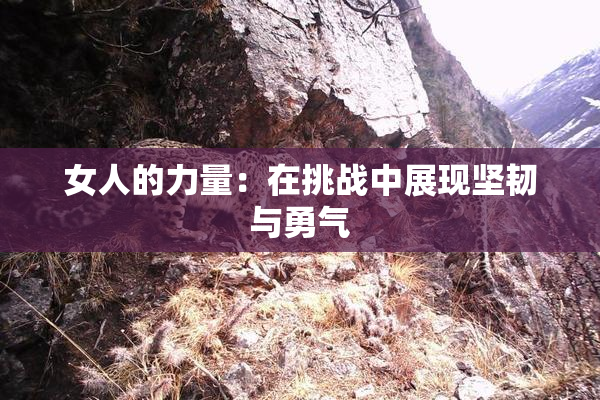 女人的力量：在挑战中展现坚韧与勇气