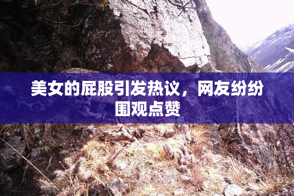 美女的屁股引发热议，网友纷纷围观点赞