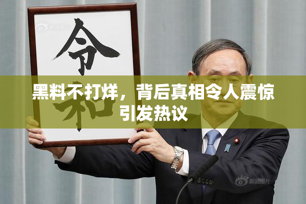黑料不打烊，背后真相令人震惊引发热议