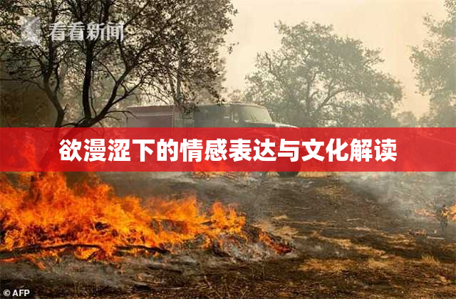欲漫涩下的情感表达与文化解读