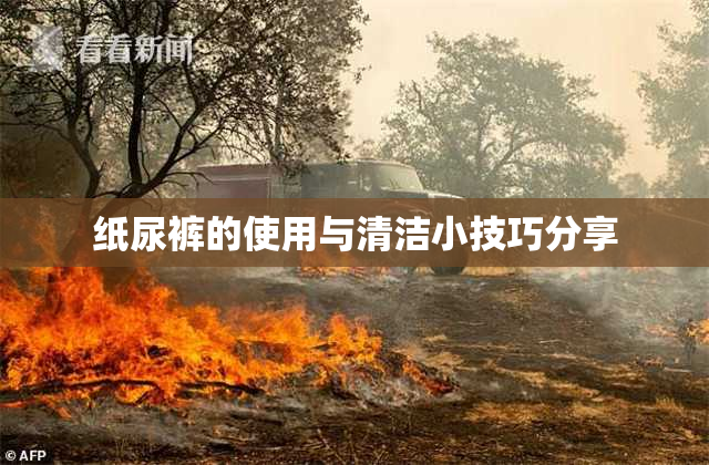 纸尿裤的使用与清洁小技巧分享