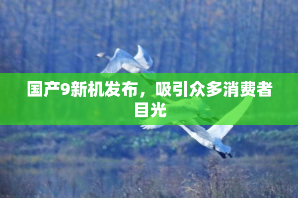 国产9新机发布，吸引众多消费者目光