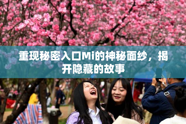 重现秘密入口Mi的神秘面纱，揭开隐藏的故事
