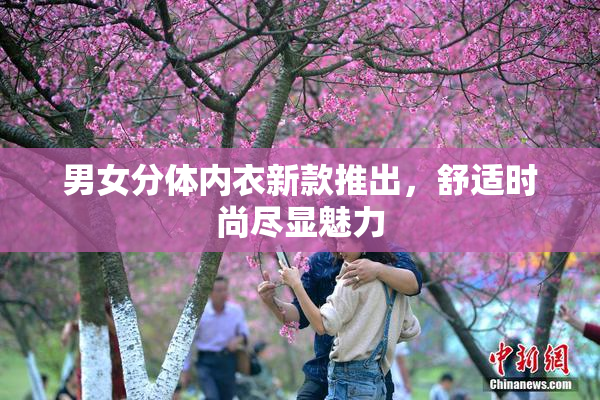 男女分体内衣新款推出，舒适时尚尽显魅力
