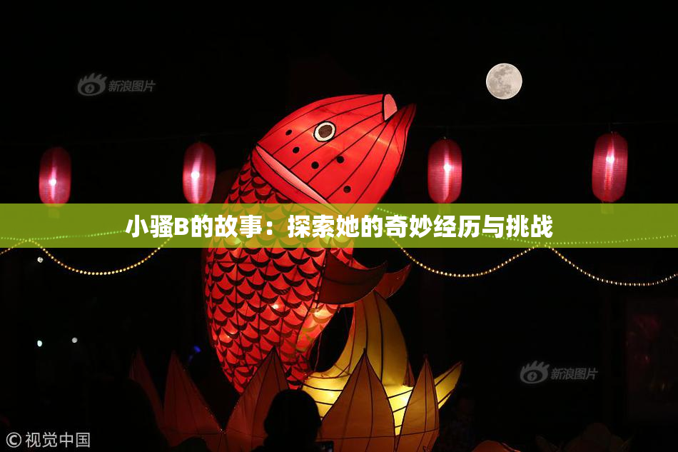 小骚B的故事：探索她的奇妙经历与挑战