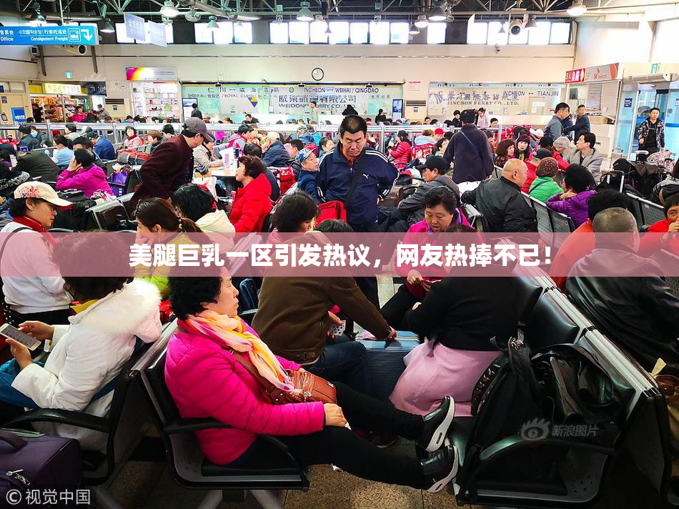 美腿巨乳一区引发热议，网友热捧不已！