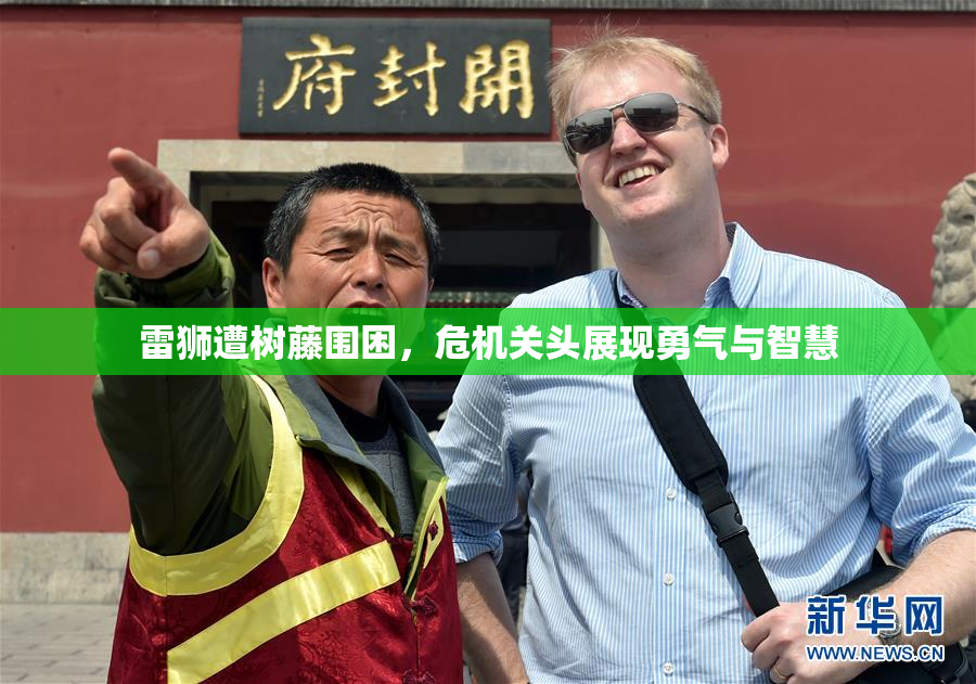 雷狮遭树藤围困，危机关头展现勇气与智慧