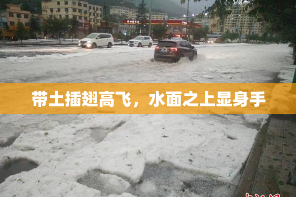 带土插翅高飞，水面之上显身手