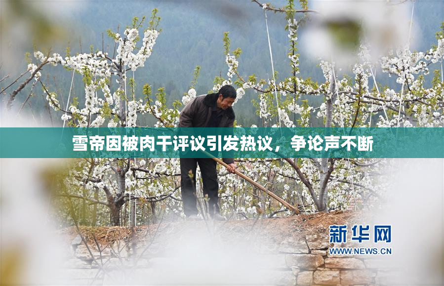 雪帝因被肉干评议引发热议，争论声不断
