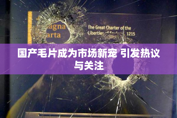 国产毛片成为市场新宠 引发热议与关注