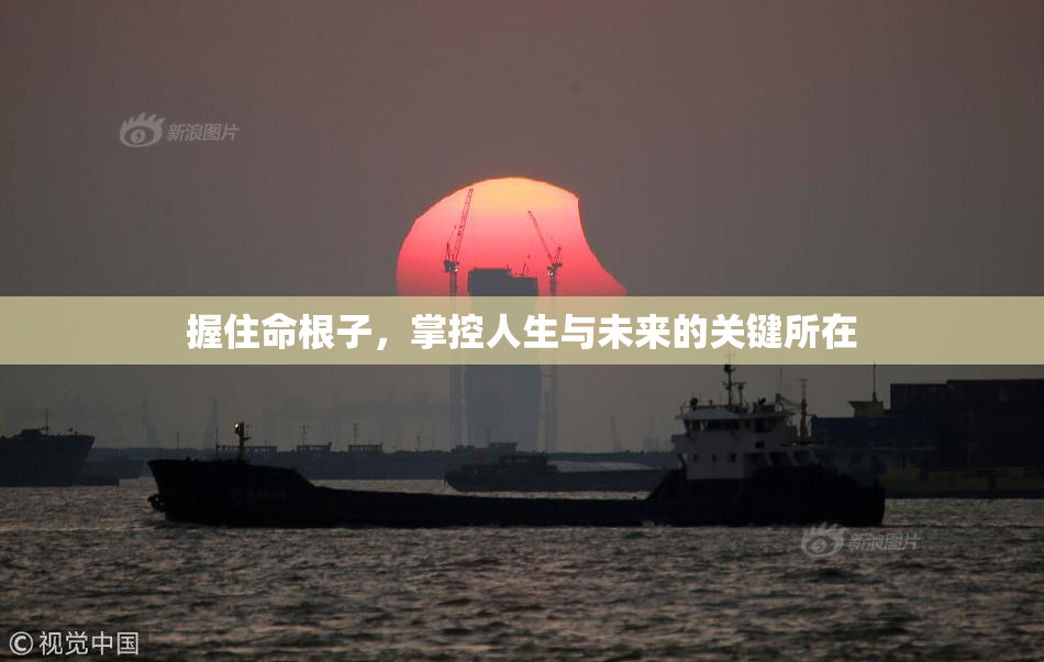 握住命根子，掌控人生与未来的关键所在