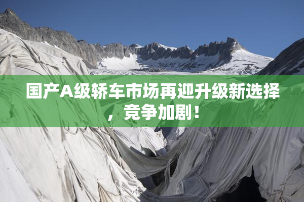 国产A级轿车市场再迎升级新选择，竞争加剧！
