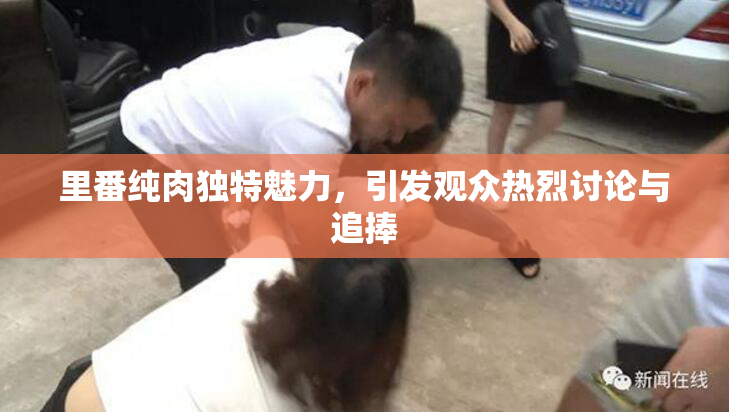 里番纯肉独特魅力，引发观众热烈讨论与追捧