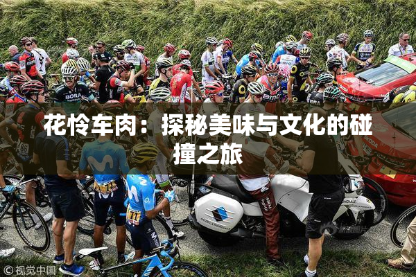 花怜车肉：探秘美味与文化的碰撞之旅