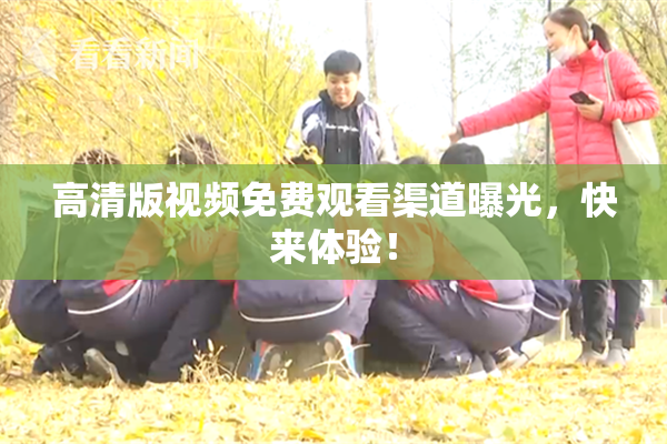 高清版视频免费观看渠道曝光，快来体验！
