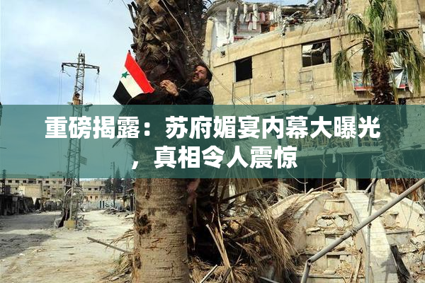 重磅揭露：苏府媚宴内幕大曝光，真相令人震惊