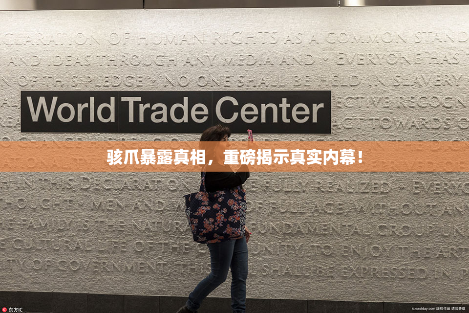 骇爪暴露真相，重磅揭示真实内幕！