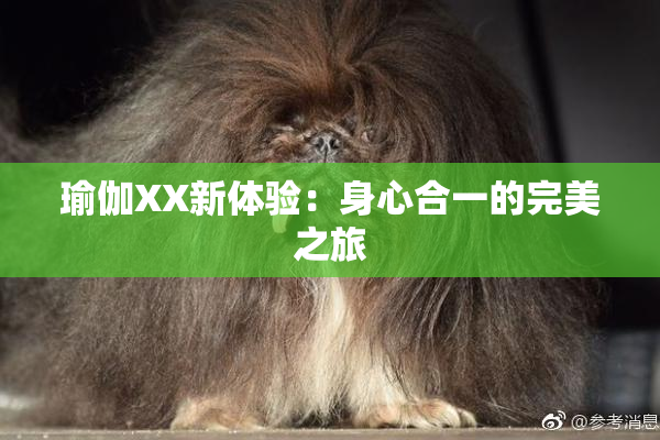 瑜伽XX新体验：身心合一的完美之旅