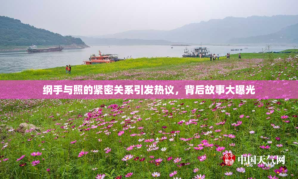 纲手与照的紧密关系引发热议，背后故事大曝光