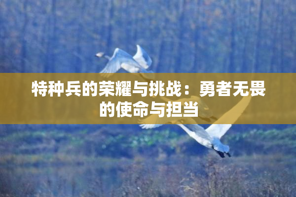特种兵的荣耀与挑战：勇者无畏的使命与担当