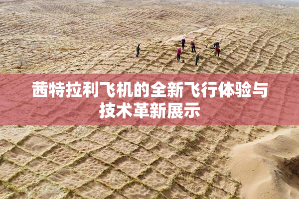 茜特拉利飞机的全新飞行体验与技术革新展示