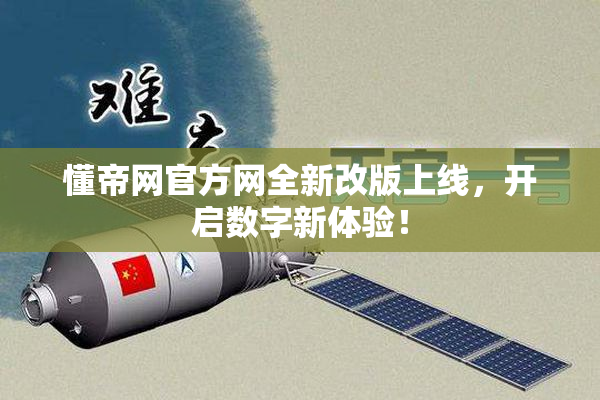 懂帝网官方网全新改版上线，开启数字新体验！