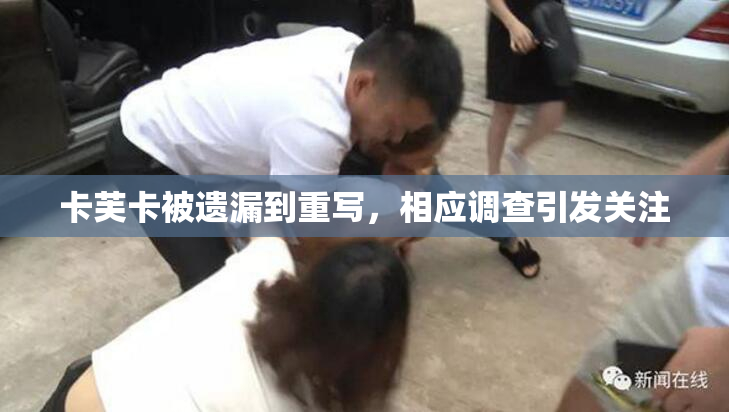 卡芙卡被遗漏到重写，相应调查引发关注