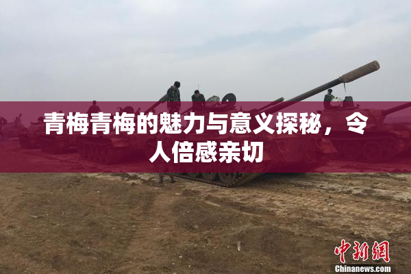 青梅青梅的魅力与意义探秘，令人倍感亲切