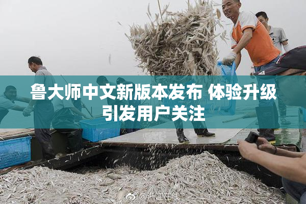 鲁大师中文新版本发布 体验升级引发用户关注