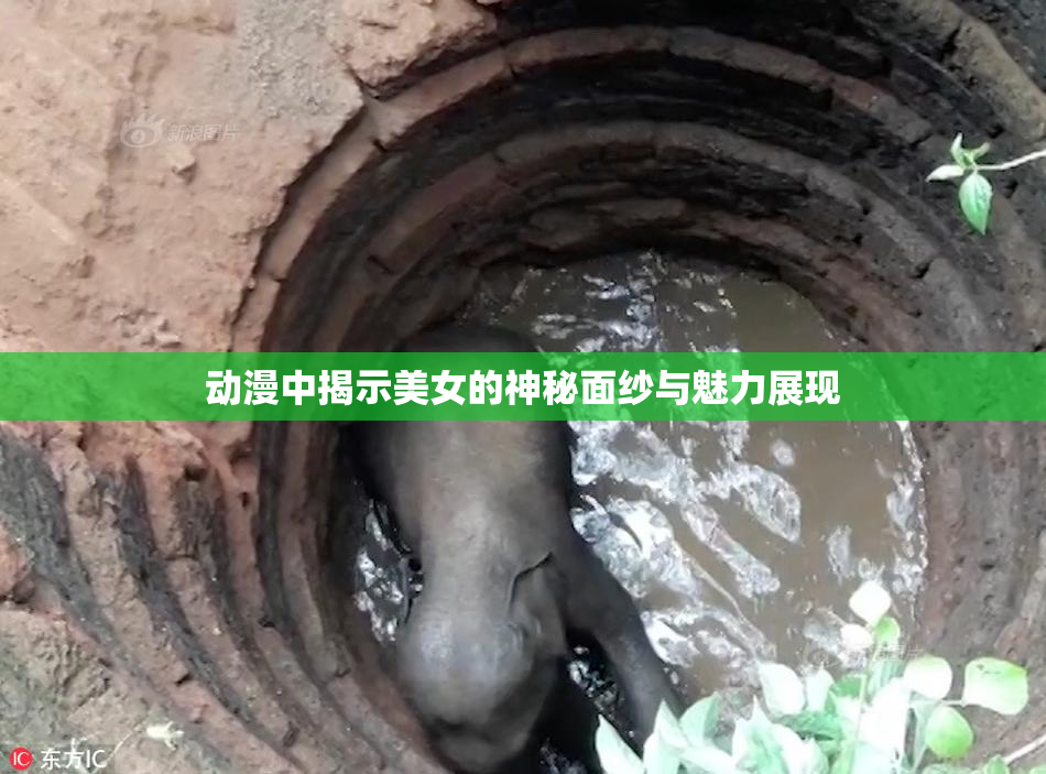 动漫中揭示美女的神秘面纱与魅力展现