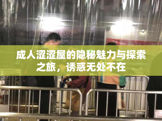 成人涩涩屋的隐秘魅力与探索之旅，诱惑无处不在