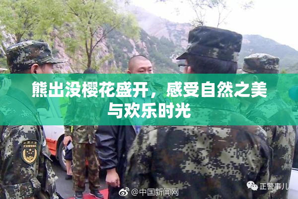 熊出没樱花盛开，感受自然之美与欢乐时光