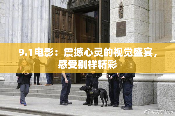 9.1电影：震撼心灵的视觉盛宴，感受别样精彩