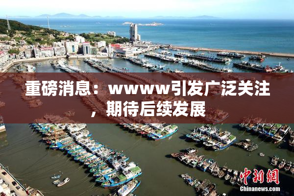 重磅消息：wwww引发广泛关注，期待后续发展