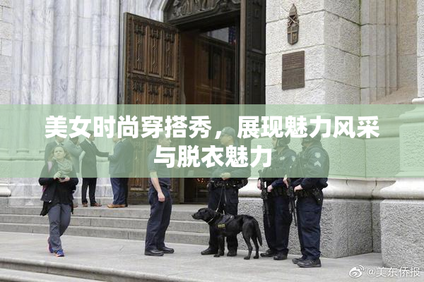 美女时尚穿搭秀，展现魅力风采与脱衣魅力
