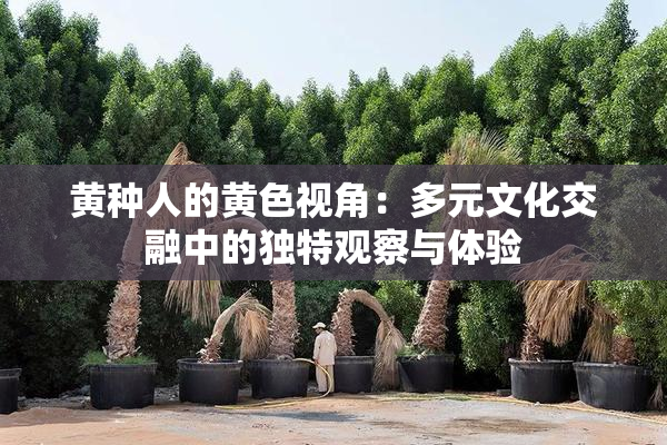 黄种人的黄色视角：多元文化交融中的独特观察与体验