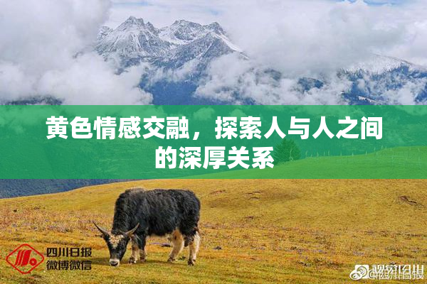 黄色情感交融，探索人与人之间的深厚关系