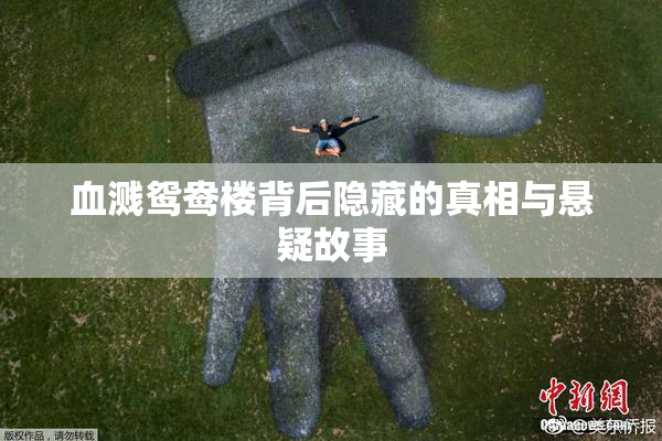 血溅鸳鸯楼背后隐藏的真相与悬疑故事
