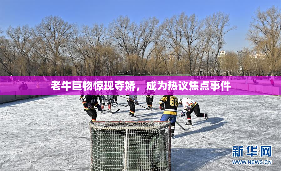 老牛巨物惊现夺娇，成为热议焦点事件