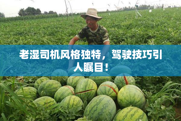 老湿司机风格独特，驾驶技巧引人瞩目！