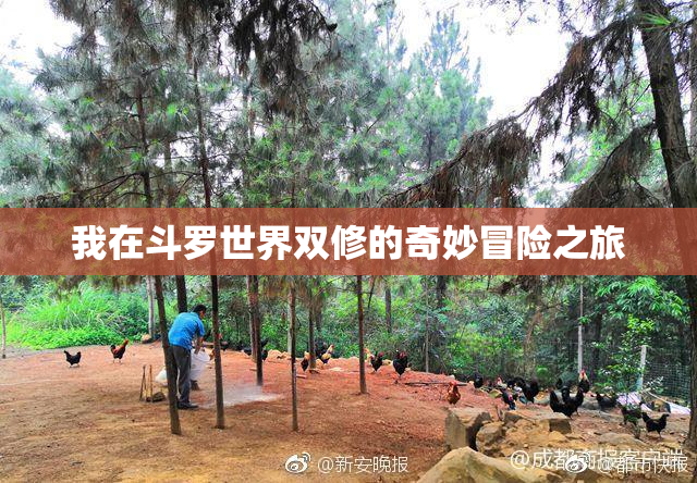我在斗罗世界双修的奇妙冒险之旅