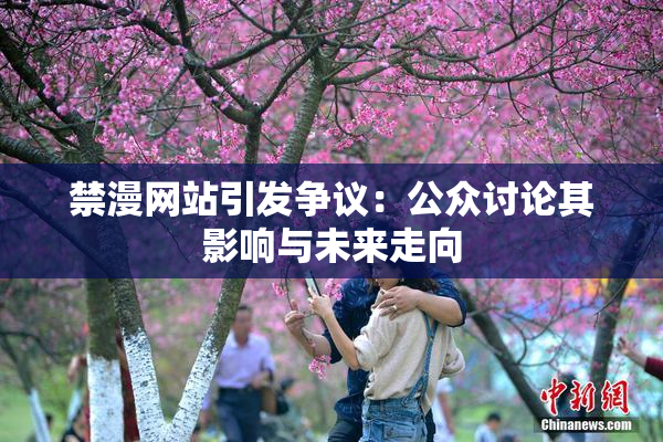 禁漫网站引发争议：公众讨论其影响与未来走向
