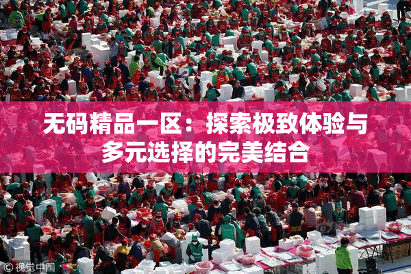 无码精品一区：探索极致体验与多元选择的完美结合